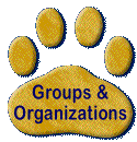 Groups and Organizations